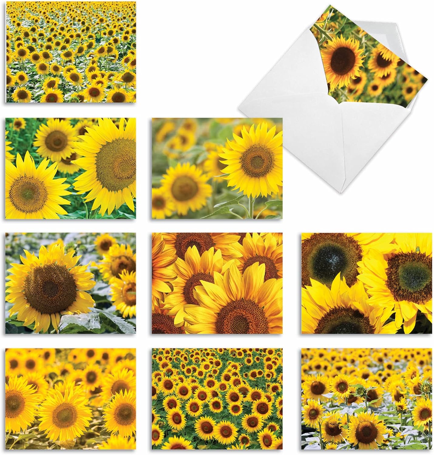 10 Pack Sunflower Note Cards