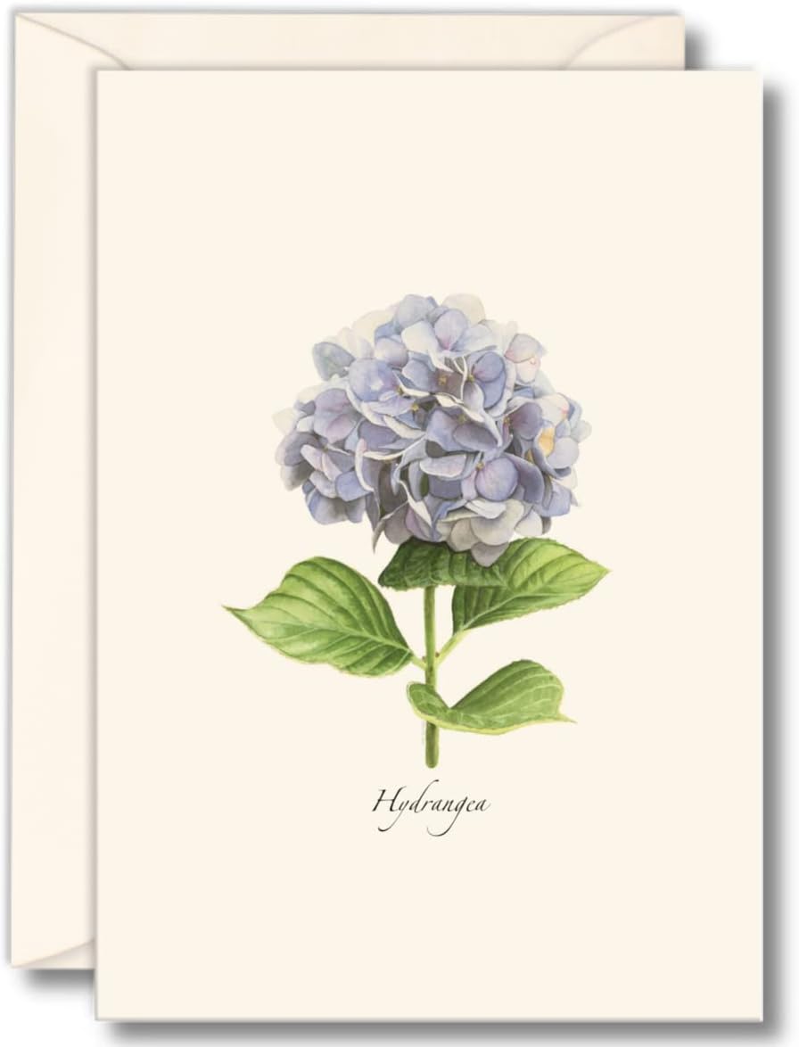 Hydrangea Note Cards (set of 8)