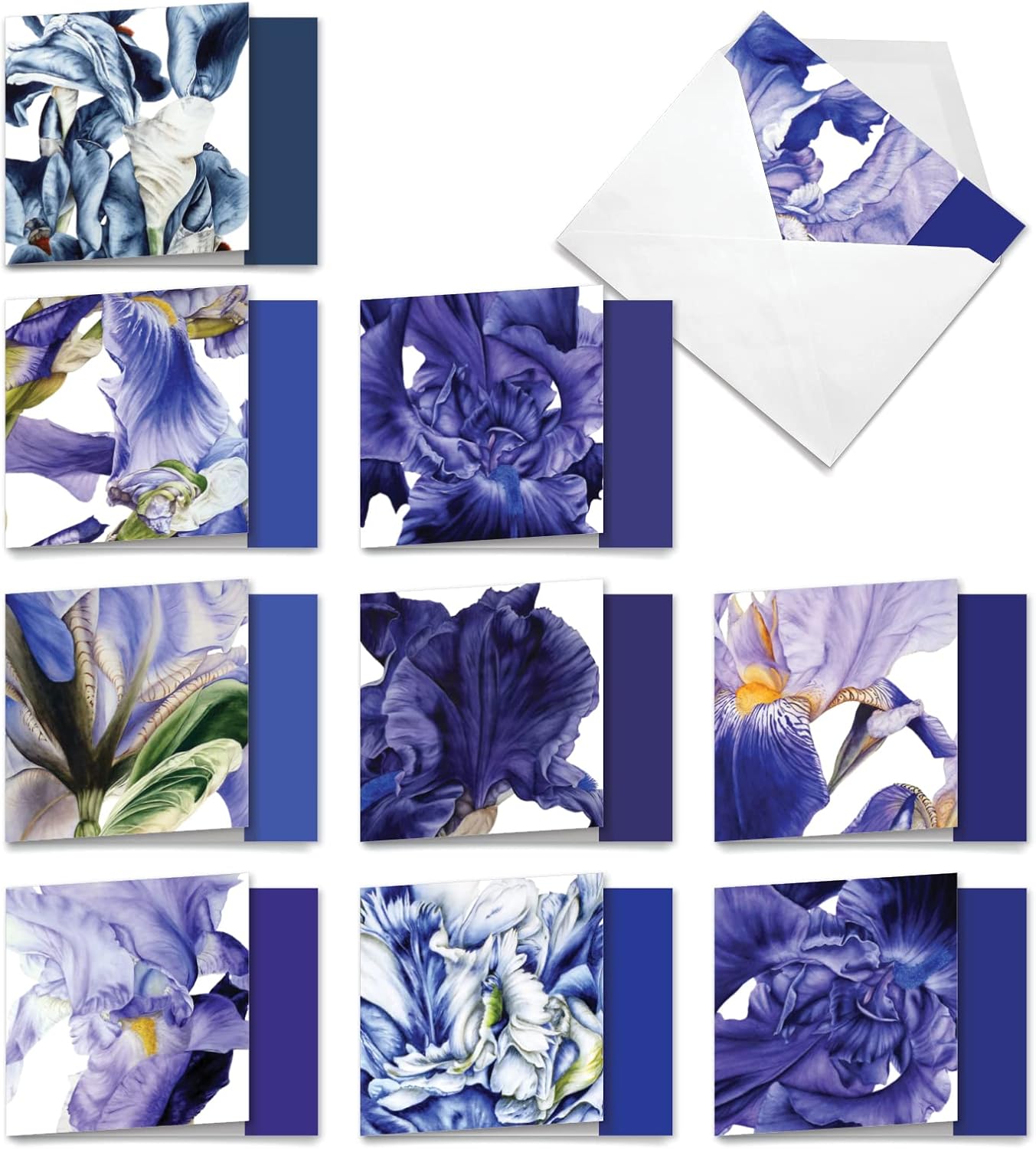 Iris Flower Note Cards