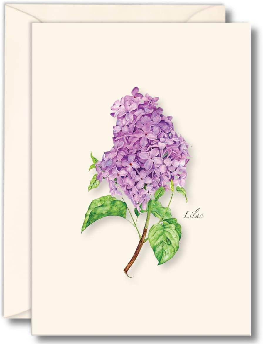 Lilac Note Cards (set of 8)