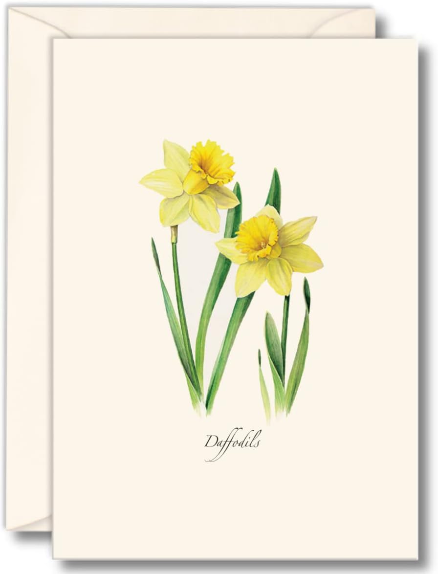 Daffodil Note Cards (set of 8)