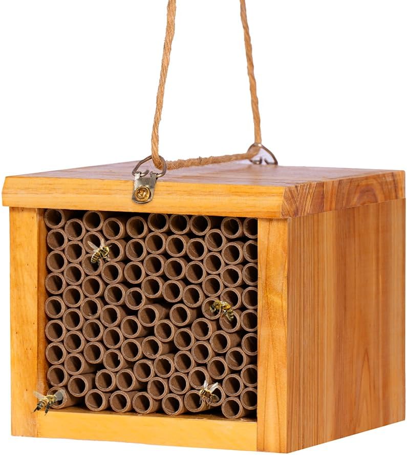 Mason Bee House