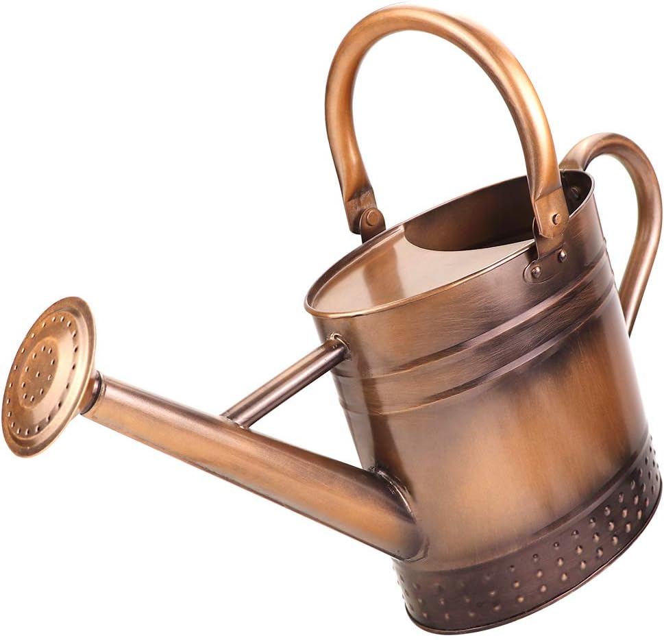 1 Gallon Metal Watering Can with Removable Spout