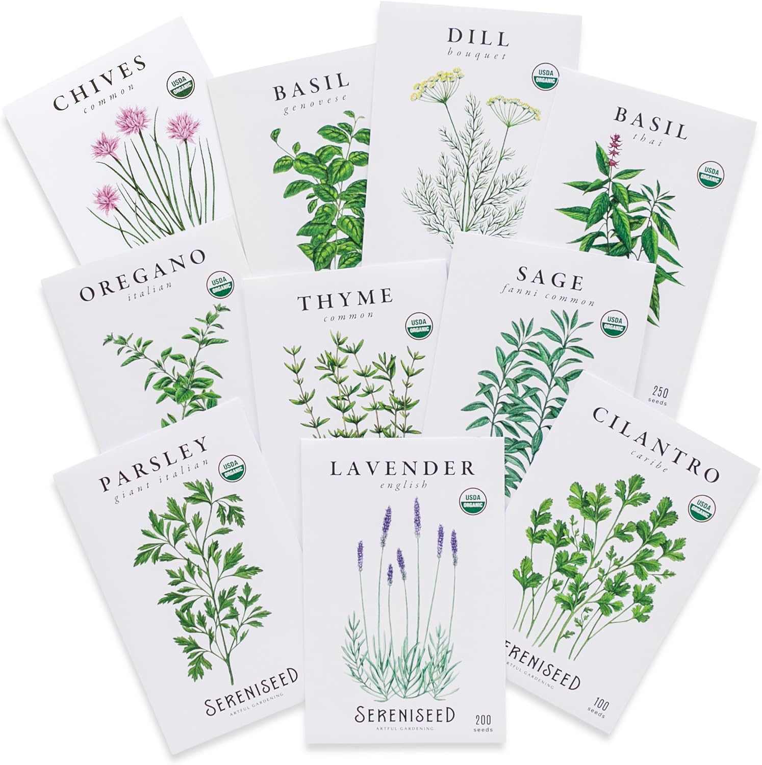 Non GMO, Heirloom – Seed Starting Video - Basil, Cilantro, Oregano, Thyme, Parsley, Lavender, Chives, Sage, Dill Seeds