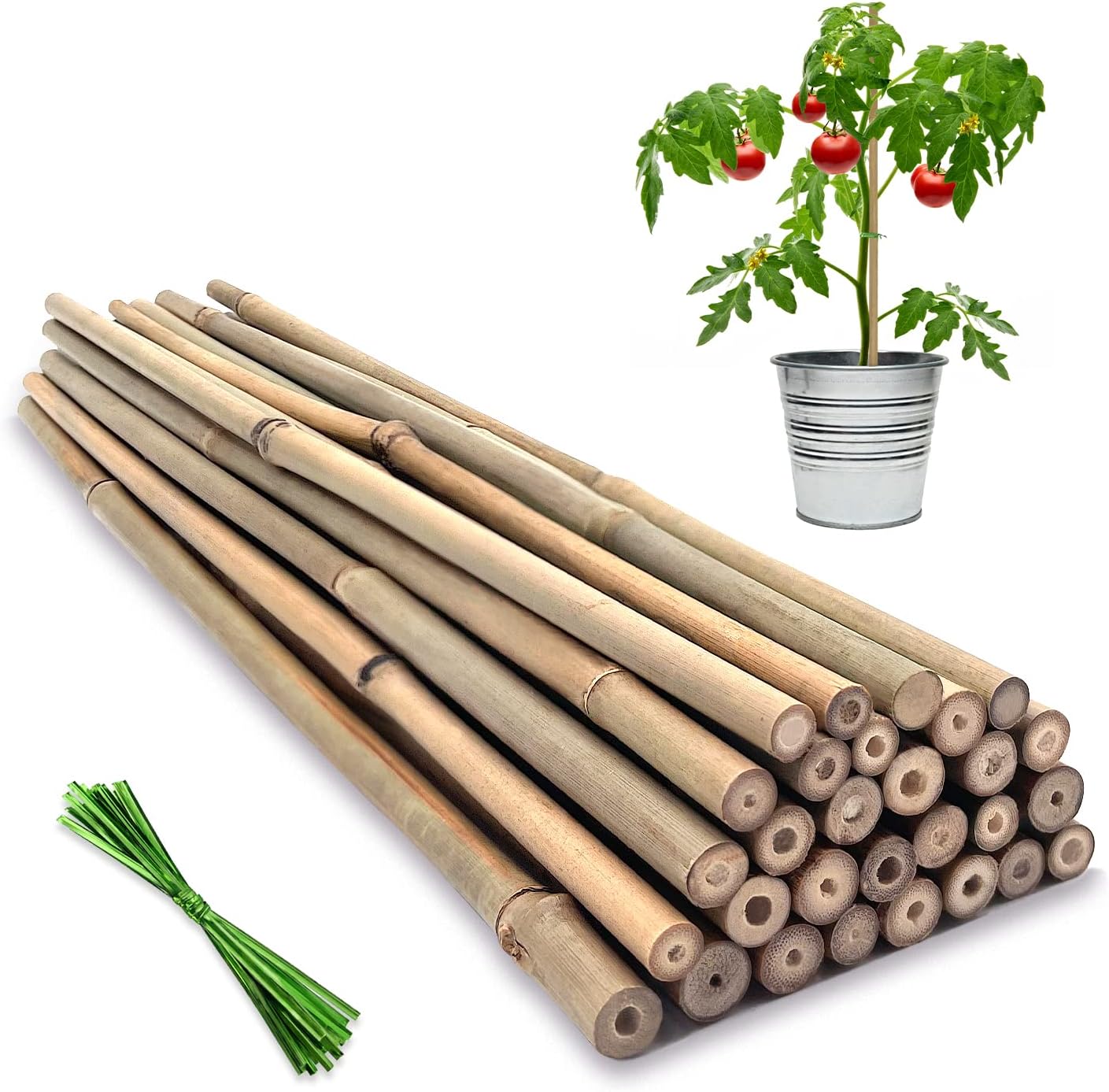 20Pcs Plant Support Stakes for Tomatoes,Beans,Vegetable and Potted Plants