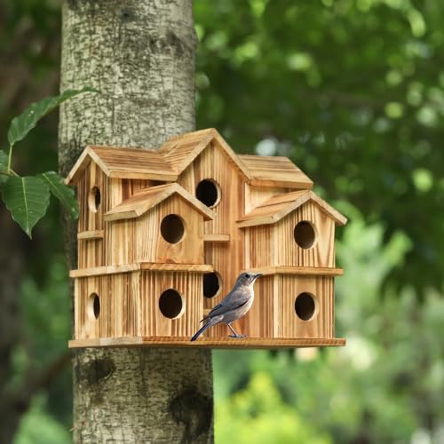 Large 10 Hole Bird House