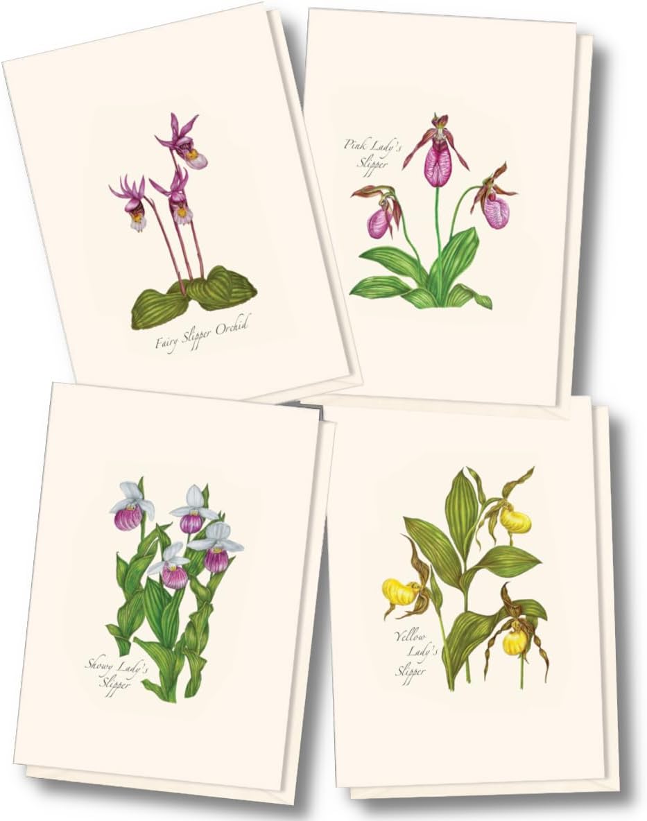 Box of 8 Orchid Note Cards