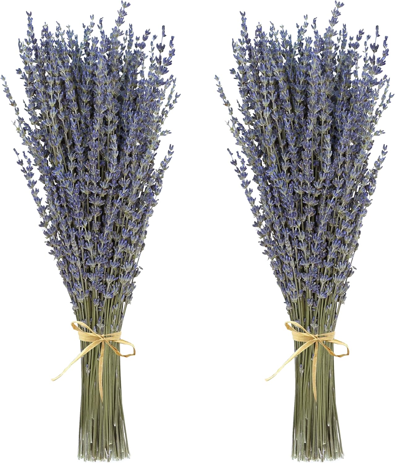 Bundled Dried Lavender