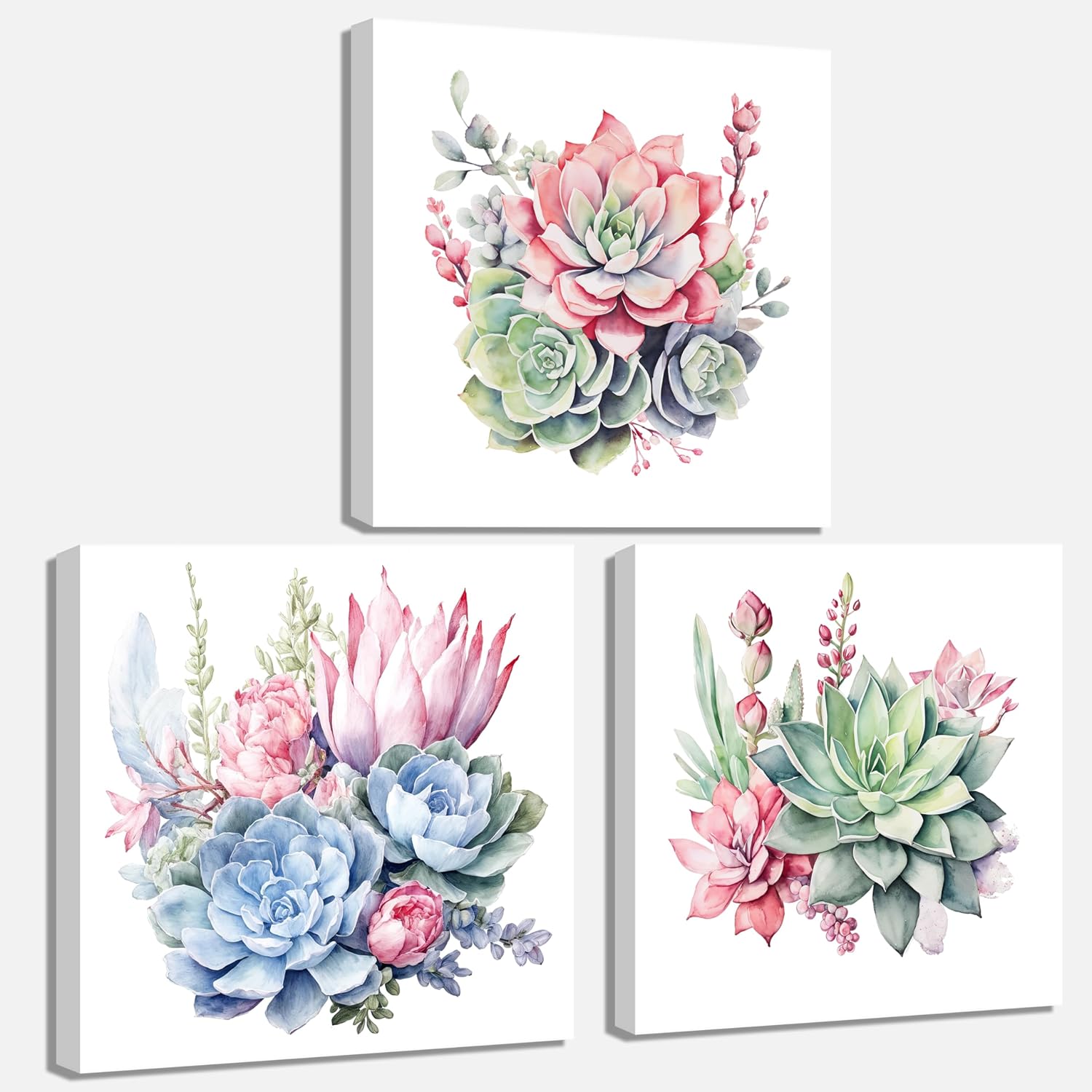 Trio of Succulent Canvas Wall Art