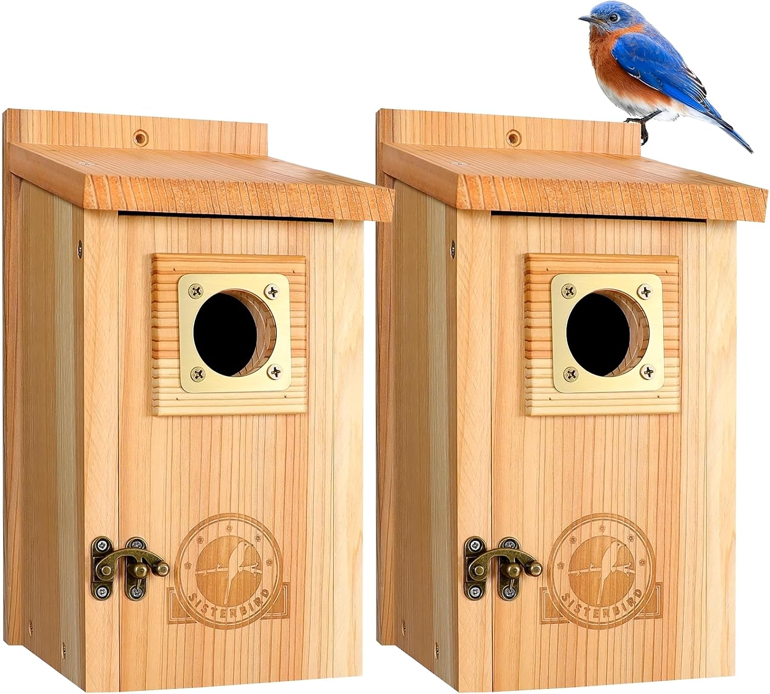 2 Pack Bluebird Bird Houses