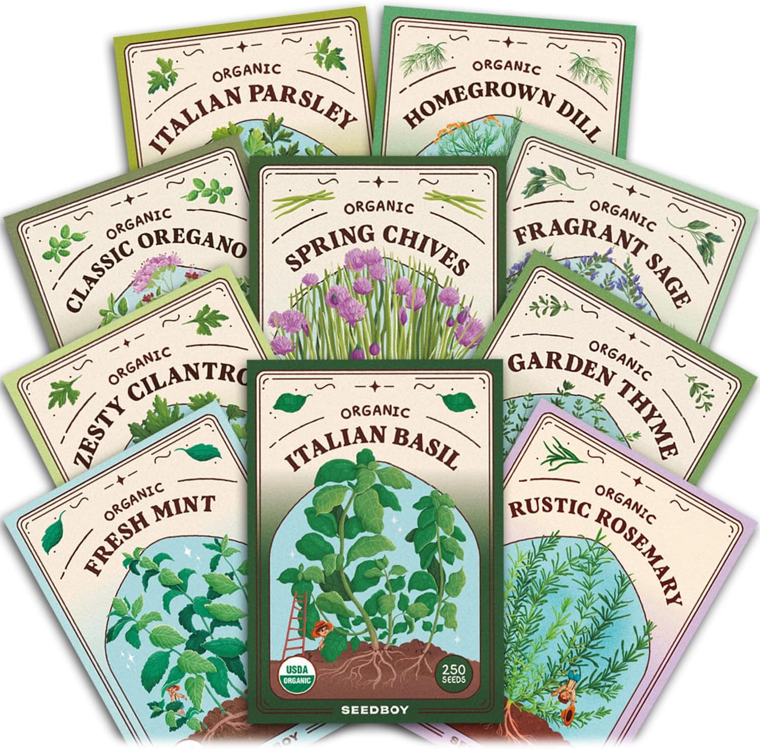 Non GMO 10 Herb Variety Pack: Basil, Cilantro, Mint, Oregano, Parsley, Thyme, Chives, Dill, Sage, Rosemary for Planting
