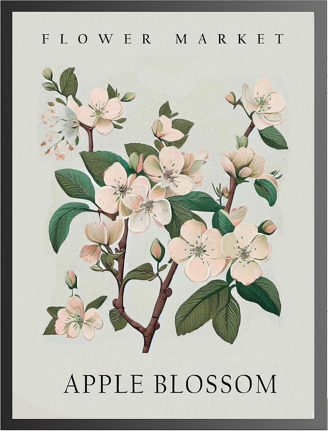 Apple Blossom Flower  Poster Print