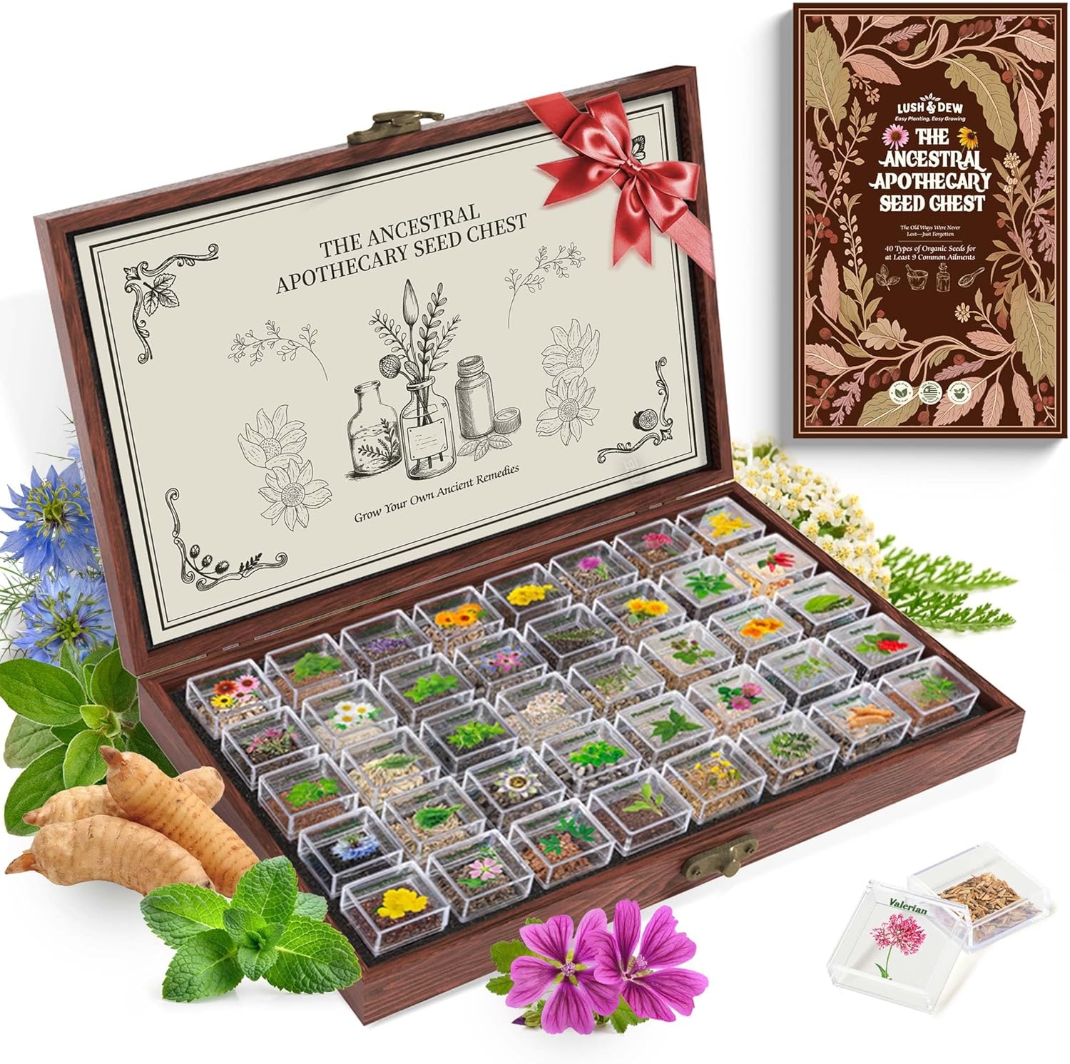 Ancestral Apothecary Medicinal Tea Herb Seed Chest, Gardening Gift