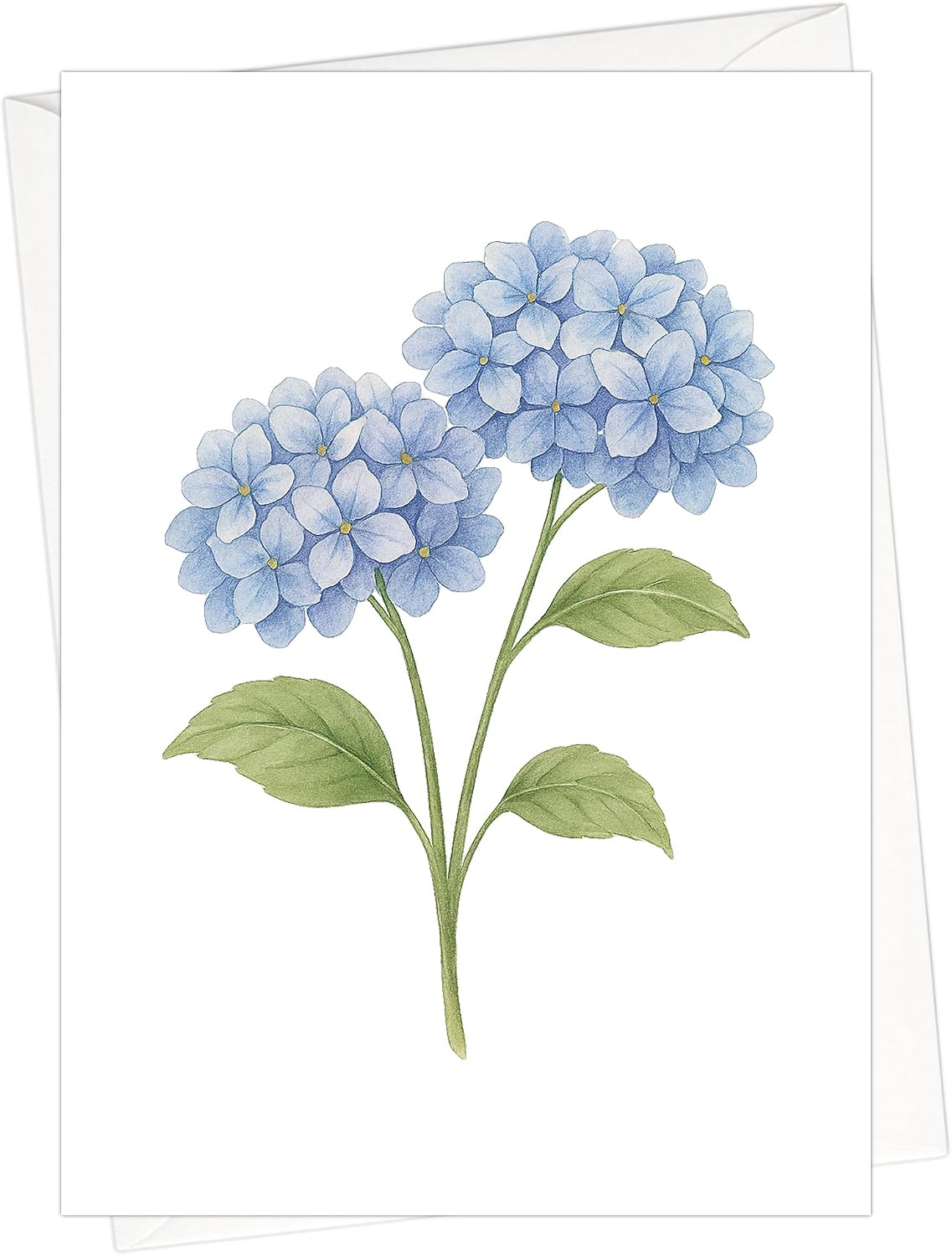 Hydrangea Note Cards
