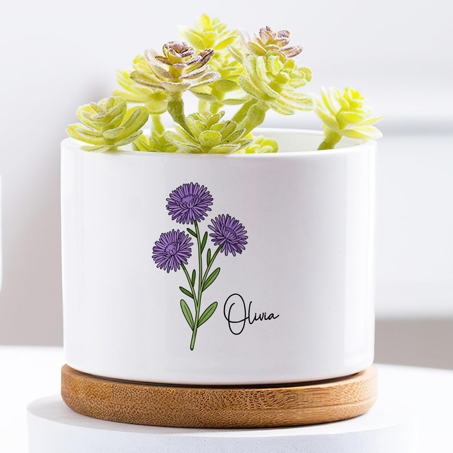 Aster Flower Ceramic Planter
