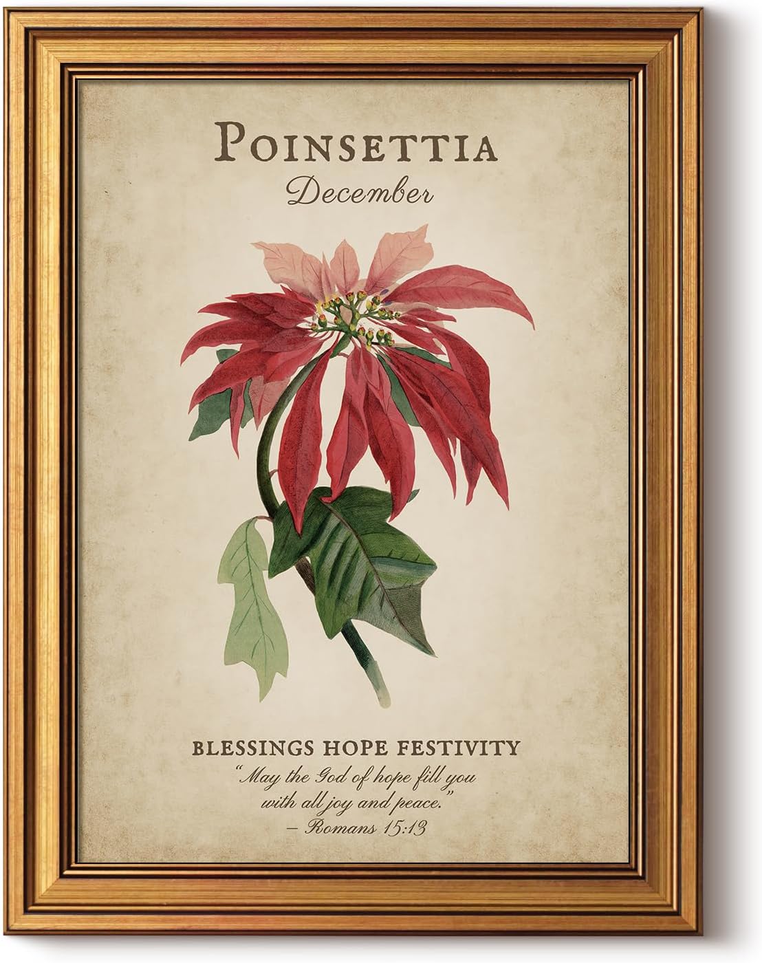 Framed Poinsettia Flower Poster Print Wall Art
