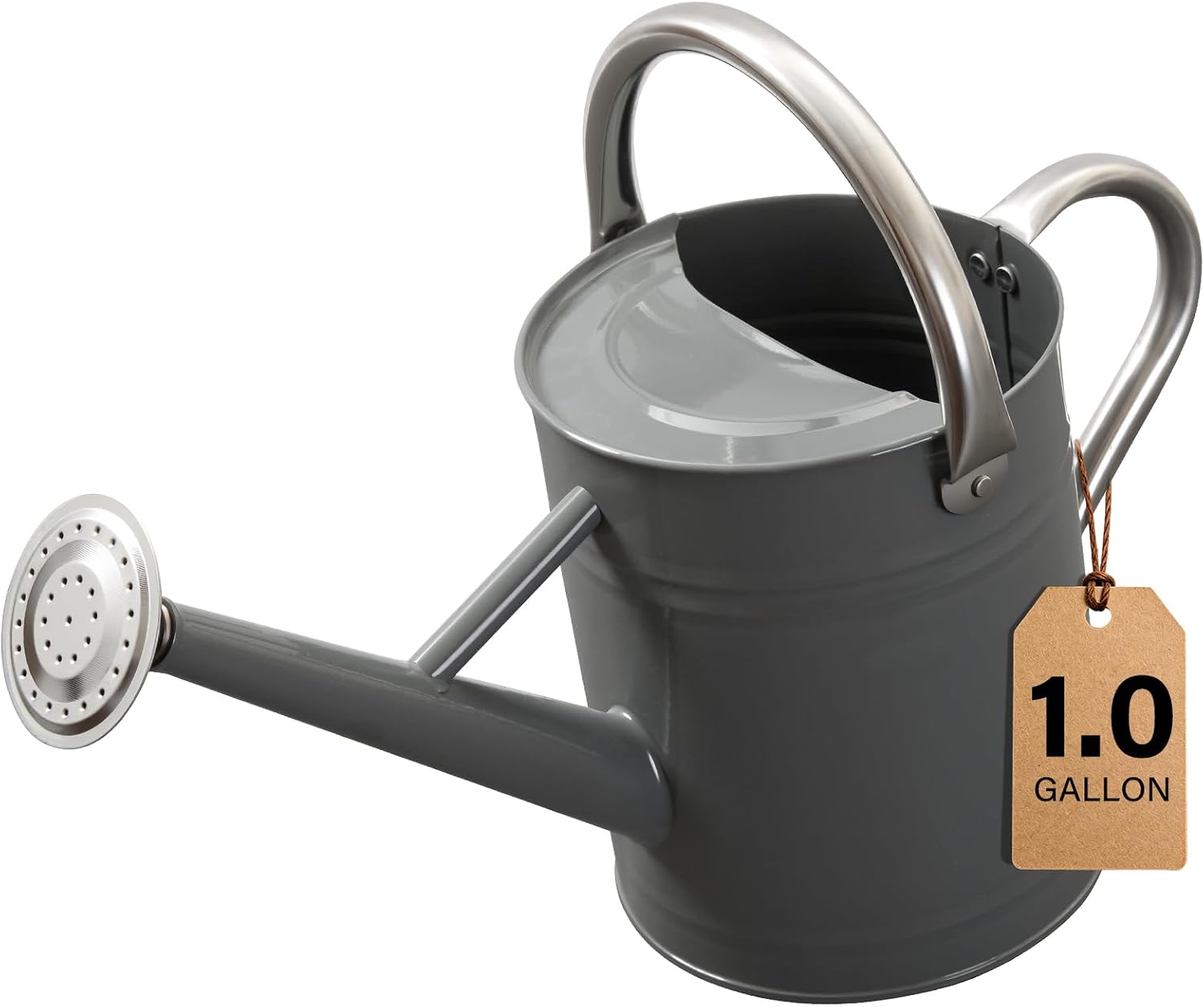 Watering Can for Outdoor&Indoor Plants，1 Gallon Metal Watering Can