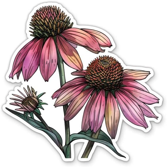 Coneflower Vinyl Sticker