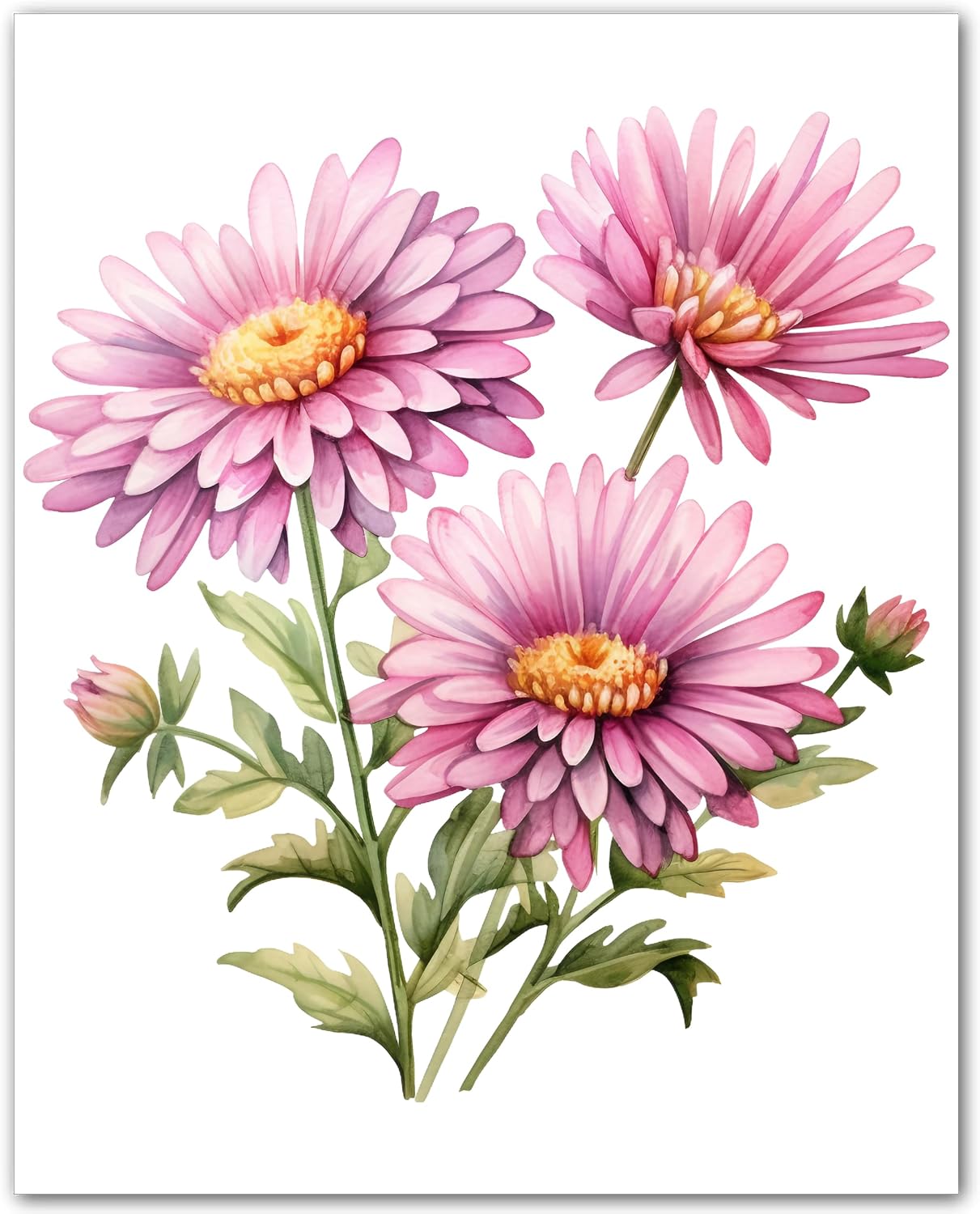 Aster Flower Unframed Print