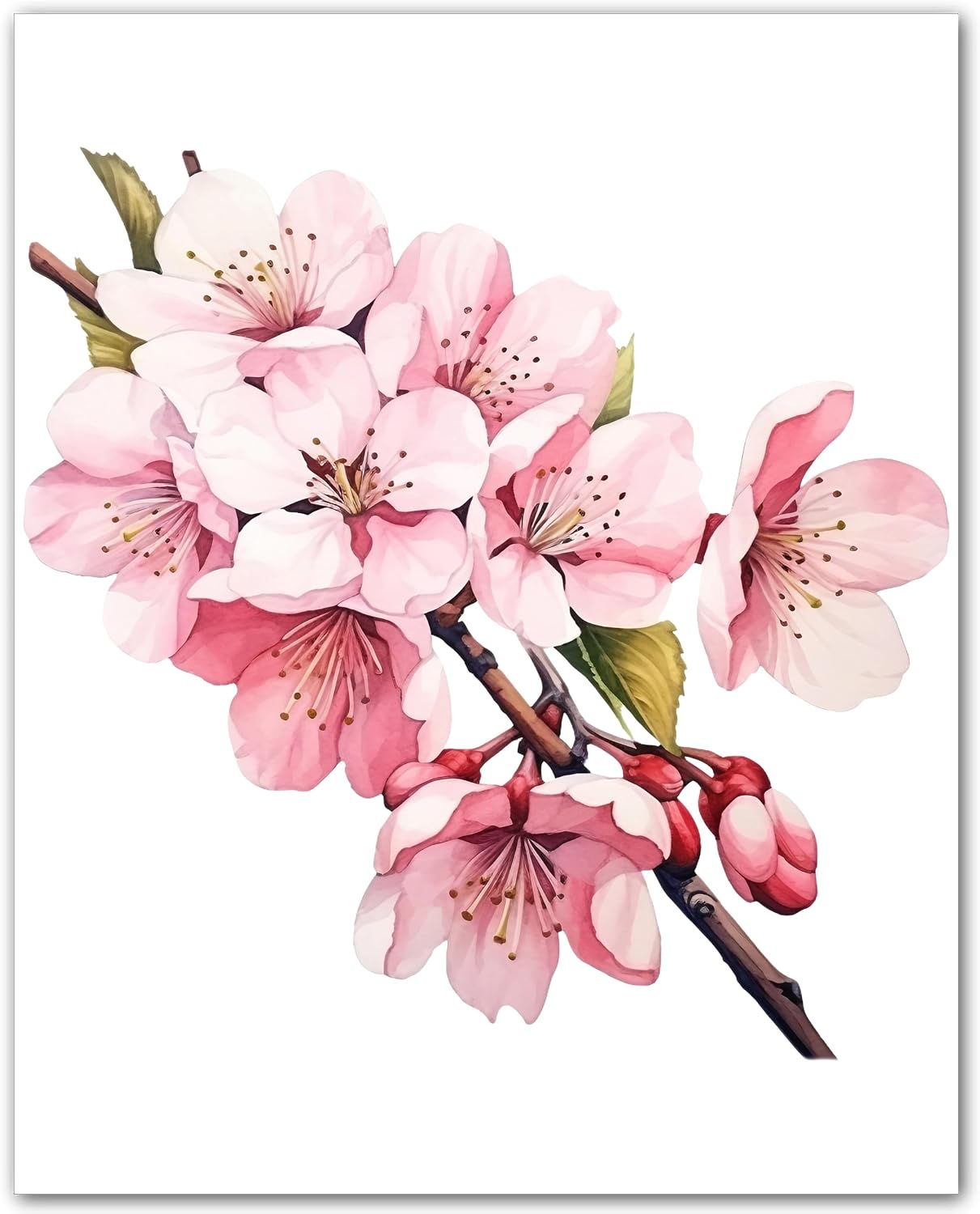 Cherry Blossom Print