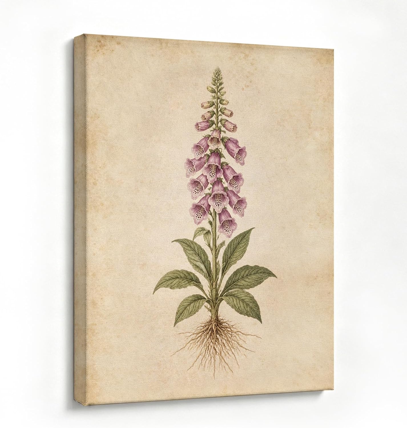 Foxglove Canvas Wall Art