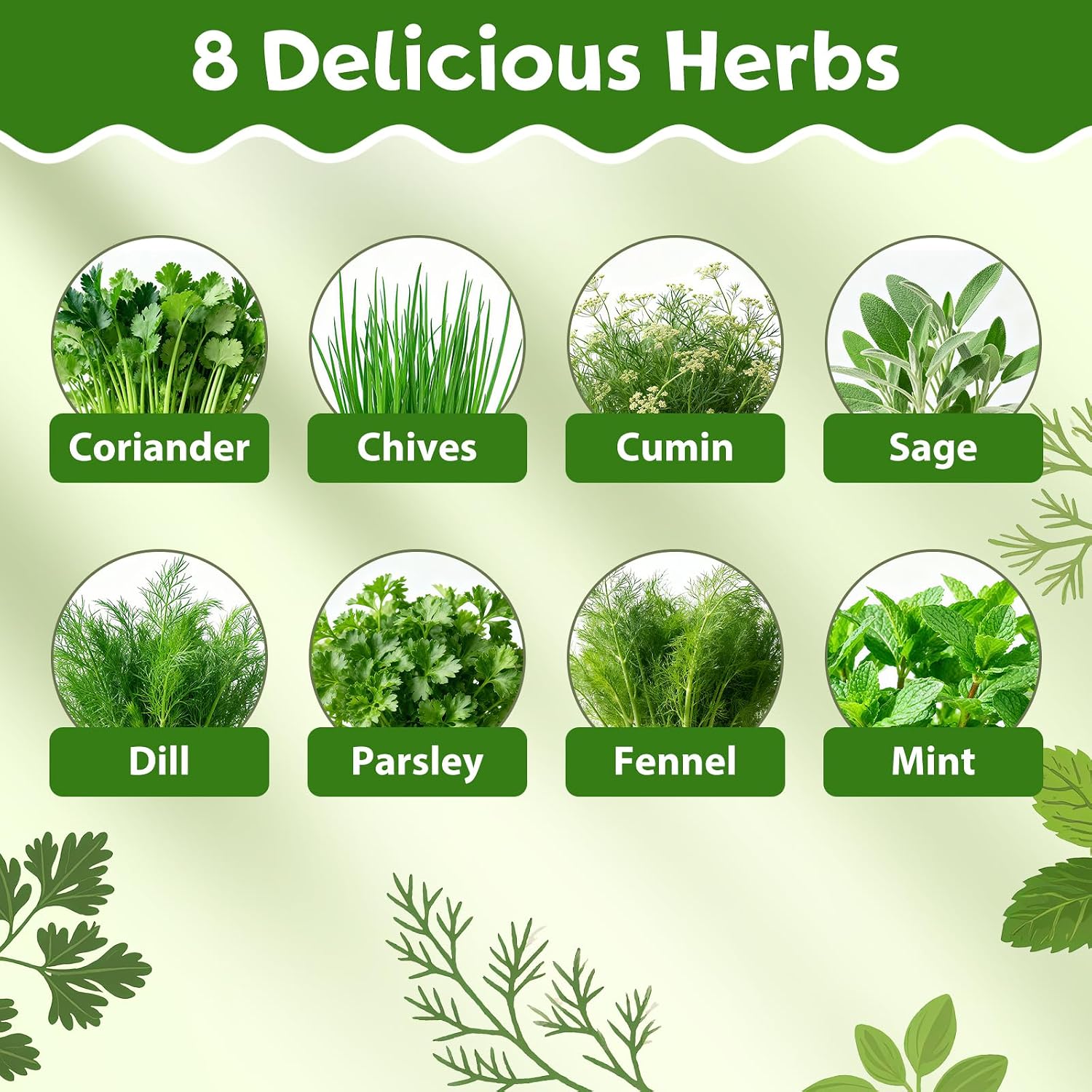 8 Herb Indoor Garden Kit for Beginners - Complete Windowsill Growing Gifts