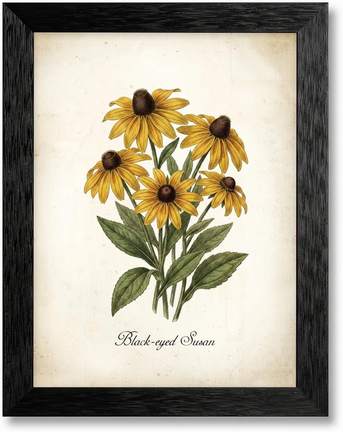Framed Black Eyed Susan Wall Art