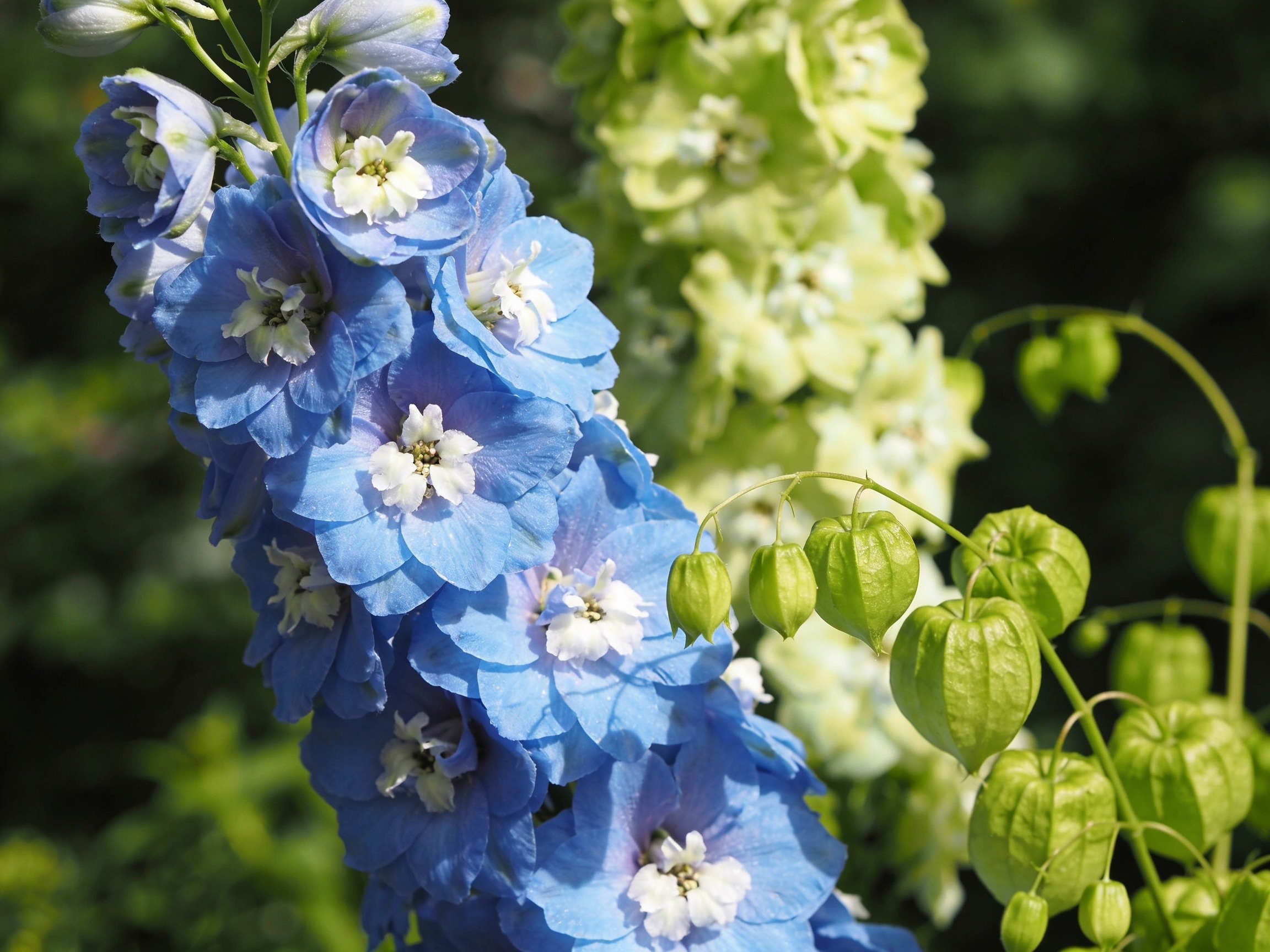 Green Blue Flowers Hero