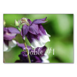 Columbine Flowers Table Number