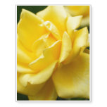 Yellow Rose of Texas Temporary Tattoos